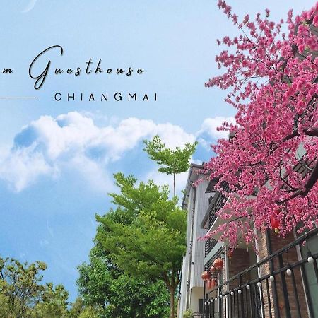 Bloom Guesthouse Chiang Mai Exteriör bild