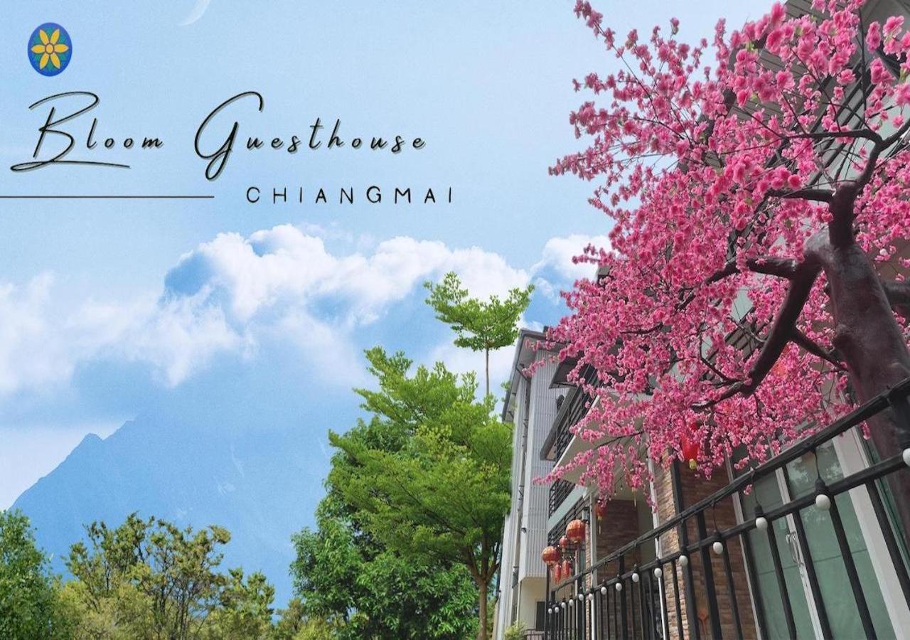 Bloom Guesthouse Chiang Mai Exteriör bild
